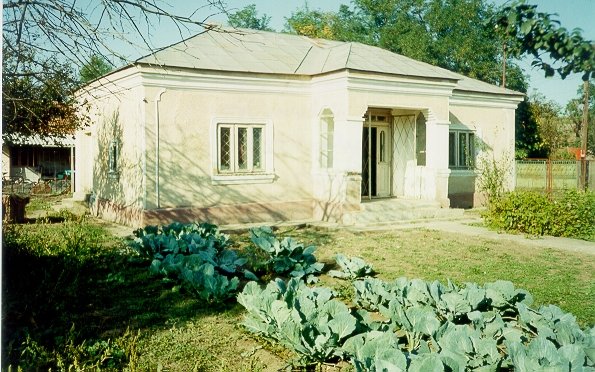 Photograph